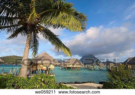 Pearl Beach Resort, Bora Bora. French Polynesia. View Large Photo Image Stock Image - Pearl Beach Resort, Bora Bora. French Polynesia.. Fotosearch