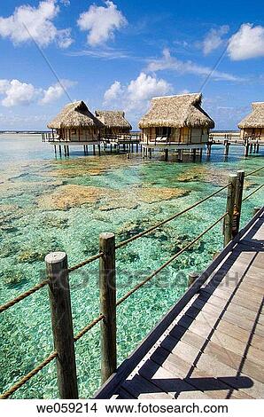 Pearl Beach Resort, Tikehau, Tuamotu Archipelago, French Polynesia. View Large Photo Image Picture - Pearl Beach Resort, Tikehau, Tuamotu Archipelago, French Polynesia.. Fotosearch
