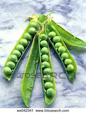 Peas View Large Photo Image Stock Image - Peas. Fotosearch