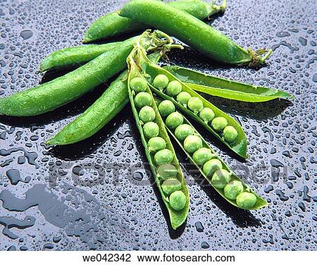Peas View Large Photo Image Stock Image - Peas. Fotosearch