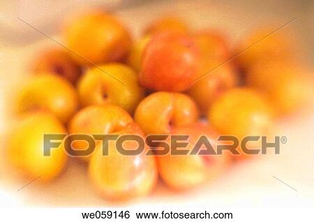Plumcots. Prunus salicina? Prunus armeniaca. February 2007, Maryland, USA View Large Photo Image Stock Photograph - Plumcots. Prunus salicina? Prunus armeniaca. February 2007, Maryland, USA. Fotosearch