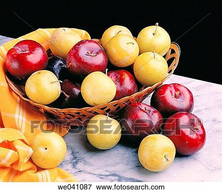Plums View Large Photo Image Stock Photo - Plums. Fotosearch