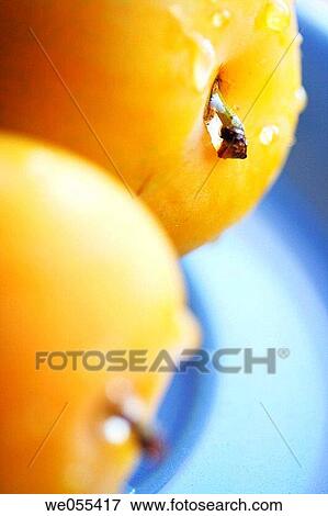 Plums View Large Photo Image Stock Photo - Plums. Fotosearch