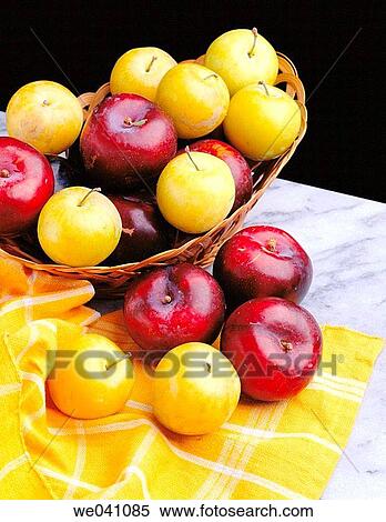 Plums View Large Photo Image Stock Photography - Plums. Fotosearch