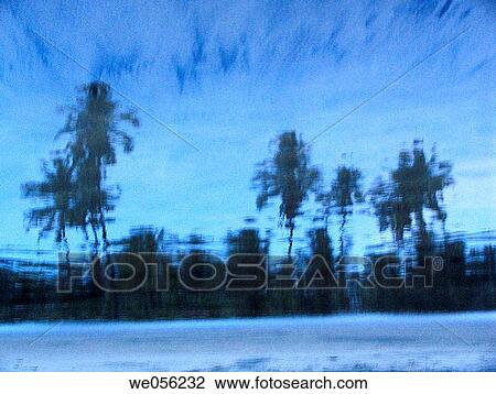 Reflection of a coconut palms in water Velneshwar, Guhagar, Ratnagiri, Maharashtra, India View Large Photo Image Stock Image - Reflection of a coconut palms in water Velneshwar, Guhagar, Ratnagiri, Maharashtra, India. Fotosearch