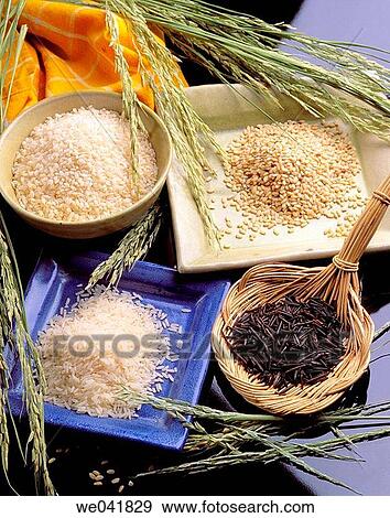 Rice View Large Photo Image Stock Photo - Rice. Fotosearch