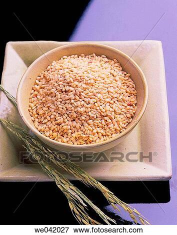 Rice View Large Photo Image Stock Photo - Rice. Fotosearch