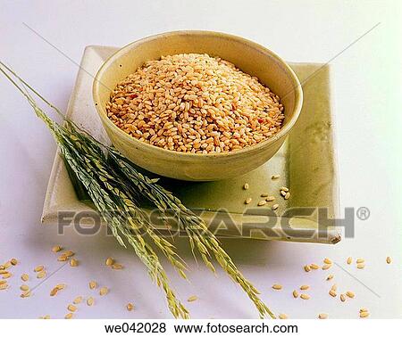 Rice View Large Photo Image Stock Photo - Rice. Fotosearch