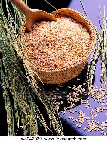 Rice View Large Photo Image Stock Photo - Rice. Fotosearch