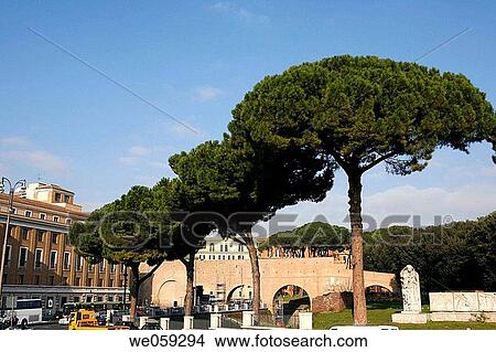 Rome. Lazio, Italy View Large Photo Image Picture - Rome. Lazio, Italy. Fotosearch