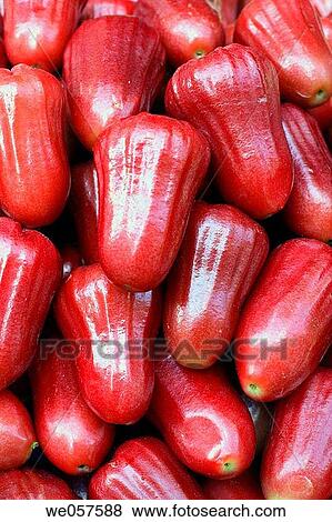Rose Apple (red Jambu) View Large Photo Image Stock Photo - Rose Apple (red Jambu). Fotosearch