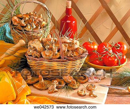 Saffron milk cap (Lactarius deliciosus) View Large Photo Image Stock Image - Saffron milk cap (Lactarius deliciosus). Fotosearch