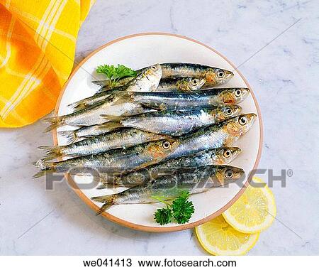 Stock Image - Sardines. Fotosearch