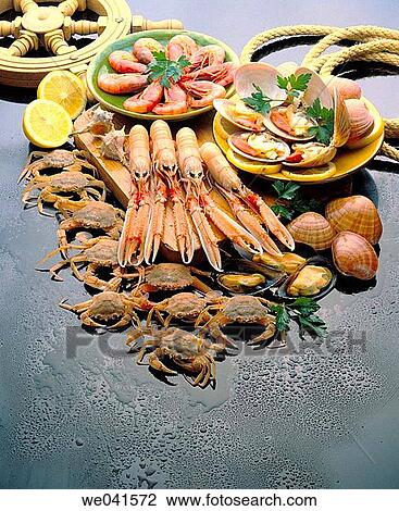 Seafood View Large Photo Image Stock Image - Seafood. Fotosearch
