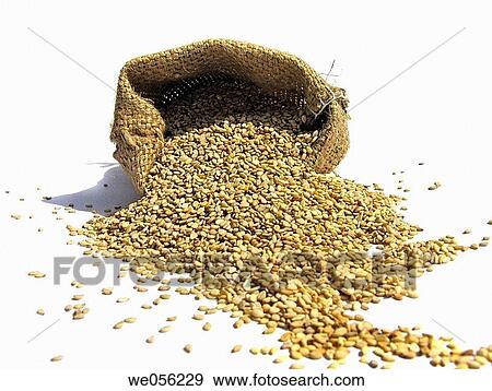 Sesame seeds View Large Photo Image Stock Photo - Sesame seeds. Fotosearch