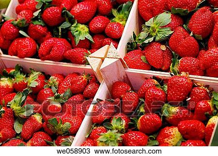 Strawberries at La Boqueria market, Barcelona. Catalonia, Spain View Large Photo Image Stock Image - Strawberries at La Boqueria market, Barcelona. Catalonia, Spain. Fotosearch
