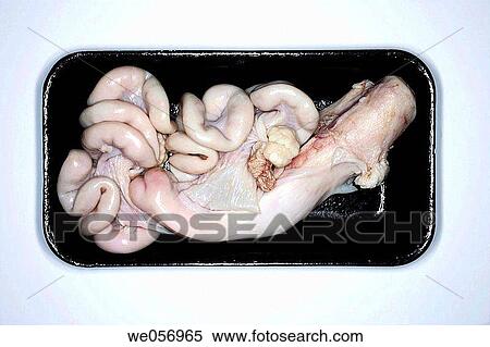 Stock Photography - Thailand. Bangkok. Thai cuisine. Pig's interiors.. Fotosearch