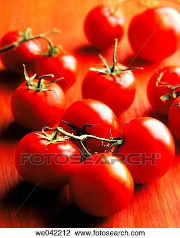Tomatoes View Large Photo Image Stock Image - Tomatoes. Fotosearch