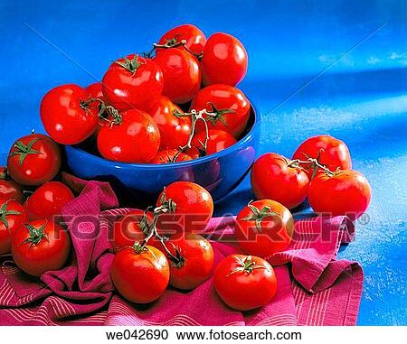 Tomatoes View Large Photo Image Stock Image - Tomatoes. Fotosearch