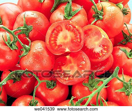 Tomatoes View Large Photo Image Stock Photo - Tomatoes. Fotosearch
