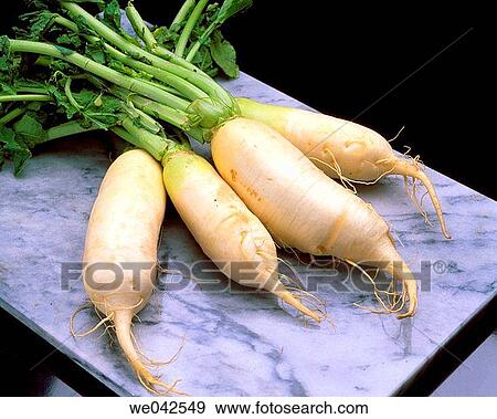 Turnips View Large Photo Image Stock Photo - Turnips. Fotosearch