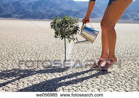 Usa. California. Death Valley National Park. Racetrack point View Large Photo Image Stock Photography - Usa. California. Death Valley National Park. Racetrack point. Fotosearch