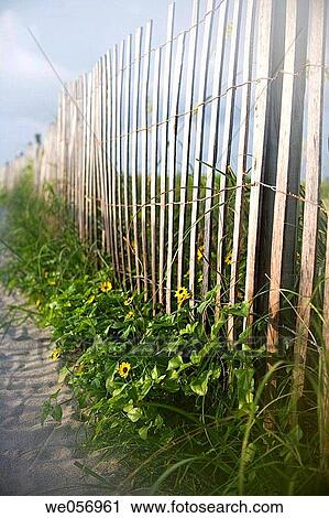 Usa. Miami Beach. Fence View Large Photo Image Stock Image - Usa. Miami Beach. Fence. Fotosearch