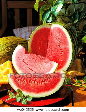 Watermelon View Large Photo Image Stock Photography - Watermelon. Fotosearch