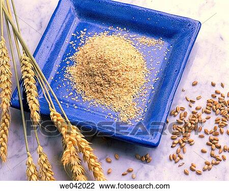 Wheat germ View Large Photo Image Stock Image - Wheat germ. Fotosearch