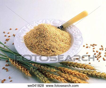 Stock Photo - Wheat germ. Fotosearch