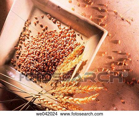 Wheat View Large Photo Image Picture - Wheat. Fotosearch