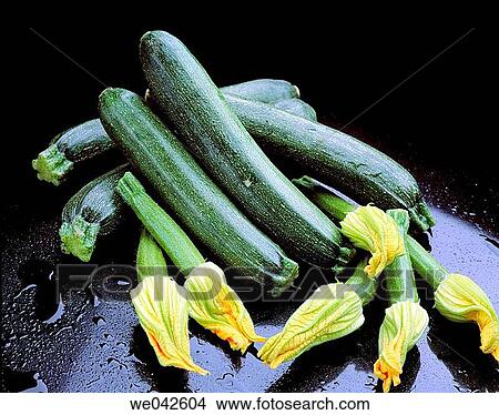 Zucchini View Large Photo Image Picture - Zucchini. Fotosearch