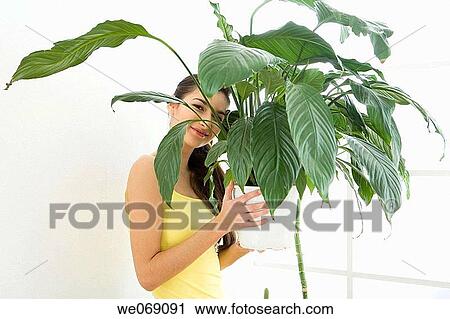 30's, carrying, carry, brunette, 20's View Large Photo Image Stock Image - 30's, carrying, carry, brunette, 20's. Fotosearch