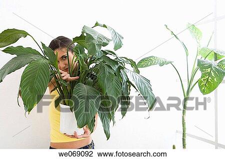 30's, carrying, carry, brunette, 20's View Large Photo Image Stock Image - 30's, carrying, carry, brunette, 20's. Fotosearch