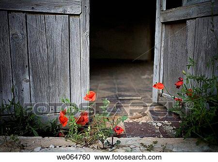 abandonment, carelessness, careless, aged, abandoned View Large Photo Image Stock Image - abandonment, carelessness, careless, aged, abandoned. Fotosearch