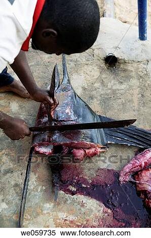 Stock Photography - African, coastal, coast, black, Africa. Fotosearch