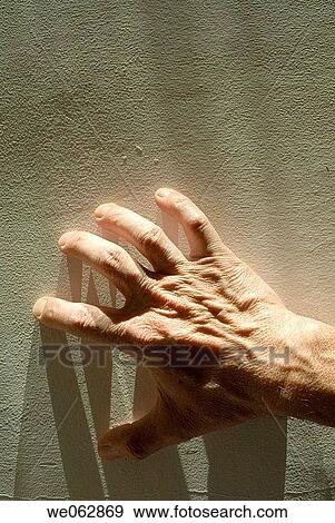 aggressive, Close-up, aggressiveness, action View Large Photo Image Stock Photo - aggressive, Close-up, aggressiveness, action. Fotosearch