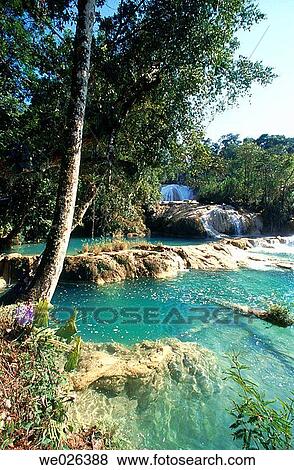 Agua Azul waterfalls. Chiapas, Mexico View Large Photo Image Stock Photo - Agua Azul waterfalls. Chiapas, Mexico. Fotosearch