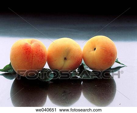 Apricots View Large Photo Image Stock Image - Apricots. Fotosearch
