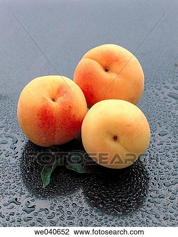 Apricots View Large Photo Image Stock Image - Apricots. Fotosearch