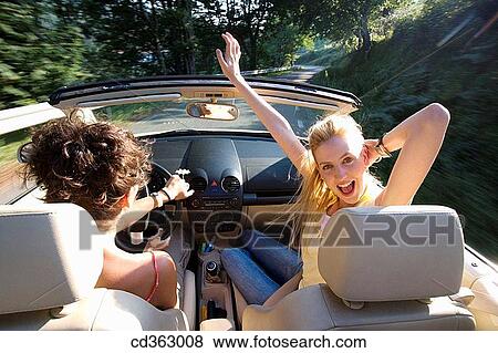 Arms raised, carefree, car, automobile, amusement View Large Photo Image Stock Photo - Arms raised, carefree, car, automobile, amusement. Fotosearch