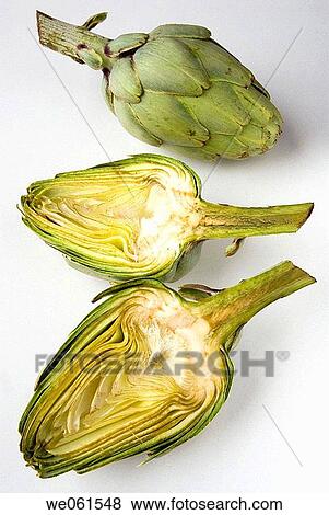 Artichoke (Cynara scolymus) View Large Photo Image Stock Photo - Artichoke (Cynara scolymus). Fotosearch
