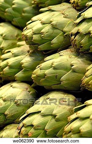 Artichokes at La Boqueria market, Barcelona. Catalonia, Spain View Large Photo Image Stock Image - Artichokes at La Boqueria market, Barcelona. Catalonia, Spain. Fotosearch