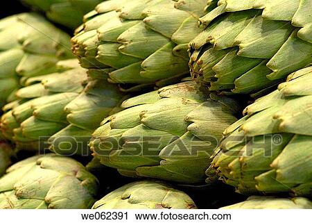 Artichokes at La Boqueria market, Barcelona. Catalonia, Spain View Large Photo Image Stock Image - Artichokes at La Boqueria market, Barcelona. Catalonia, Spain. Fotosearch