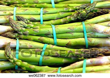 Asparagus at La Boqueria market, Barcelona. Catalonia, Spain View Large Photo Image Stock Photo - Asparagus at La Boqueria market, Barcelona. Catalonia, Spain. Fotosearch