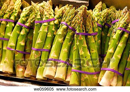 Asparagus. La Boquer? a market. Barcelona. Spain. View Large Photo Image Stock Photography - Asparagus. La Boquer? a market. Barcelona. Spain.. Fotosearch