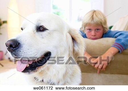 at-home, boy, boredom, bored, animal View Large Photo Image Stock Image - at-home, boy, boredom, bored, animal. Fotosearch