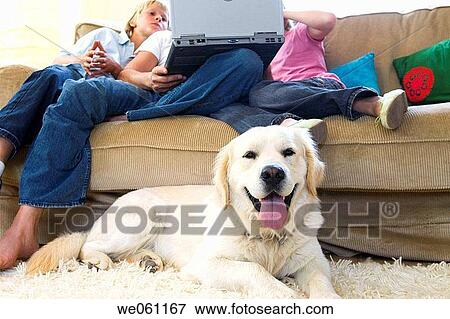 at-home, brother, boy, animal View Large Photo Image Stock Photo - at-home, brother, boy, animal. Fotosearch