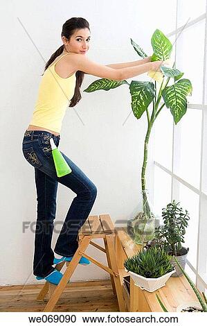 at-home, climb, brunette, ascending View Large Photo Image Stock Image - at-home, climb, brunette, ascending. Fotosearch