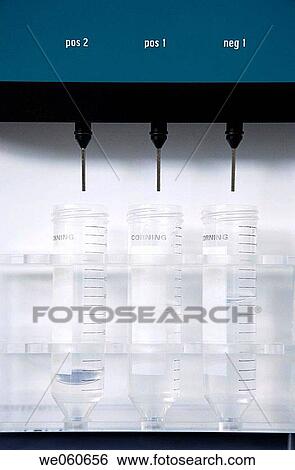 AutoMacs cell separator, culture room, biopharmaceutical lab, development and production of innovative drugs using adult stem cells, Cellerix, Grupo Genetrix, Madrid View Large Photo Image Stock Photograph - AutoMacs cell separator, culture room, biopharmaceutical lab, development and production of innovative drugs using adult stem cells, Cellerix, Grupo Genetrix, Madrid. Fotosearch